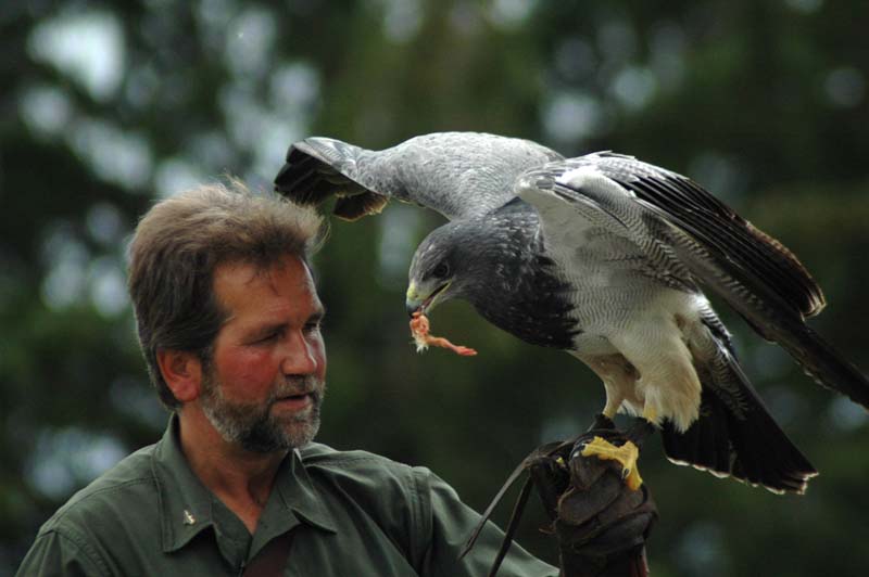 Eagles14_SO1706