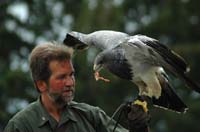 Eagles14_SO1706
